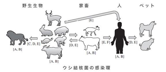 ãçµæ ¸ ç«ãã®ç»åæ¤ç´¢çµæ